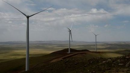 Photo du  4 juin 2013 montrant les éoliennes de Salkhit à 70 kilomètres d'Oulan-Bator, la capitale mongole. (MARK RALSTON / AFP)