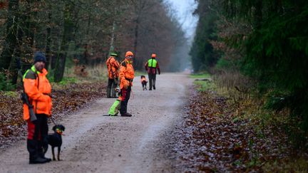 Des chasseurs lors d'une battue le 14 décembre 2023, en Allemagne (photo d'illustration). (PHILIPP SCHULZE / DPA)