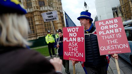 Un manifestant anti-Brexit devant le Parlement britannique, le 21 janvier 2019 à Londres (Royaume-Uni).&nbsp; (TOLGA AKMEN / AFP)