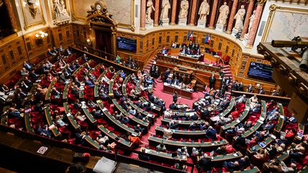 Vue de l'hémicycle du Sénat lors d'une séance publique le 27 juillet 2022. (ADRIEN FILLON / HANS LUCAS)