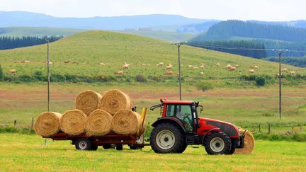 


Les agriculteurs sont les actifs qui déclarent la plus longue durée de travail hebdomadaire, selon une étude de l'Insee publiée le 22 novembre 2016. (PAULO AMORIM / MOMENT RF / GETTY IMAGES)