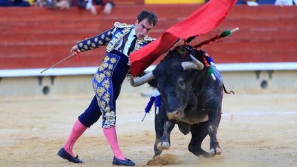 Le torero Vincente Soler avec un taureau lors d'une corrida à Castellón de la Plana, en Espagne, en 2019. (DOMENECH CASTELL? / EFE)