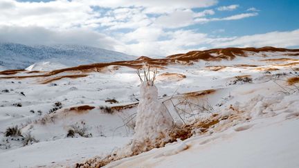 Les alentours de la ville d'Aïn Sefra en Algérie, le 21 janvier 2017. (Geoff Robinson / SIPA)