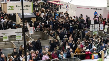 Les allées du Salon de l'agriculture, au parc des expositions de Paris, le 25 février 2023. (MAGALI COHEN / HANS LUCAS / AFP)