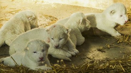 Visite du zoo d'Amneville