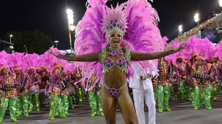 L'école Mangueira défile dans le sambodrome de Rio, dans la nuit du 2 au 3 mars 2014
 (Yasuyoshi Chiba / AFP)