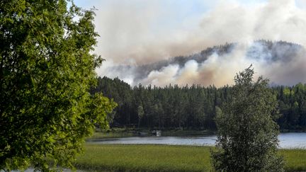 Un incendie dans la forêt de Ljusdal en Suède, le 17 juillet 2018. (MAJA SUSLIN/AP/SIPA)