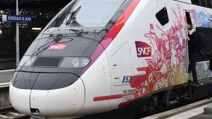 Le TGV Océane, le 11 décembre 2016, à Bordeaux (Gironde). (MEHDI FEDOUACH / AFP)