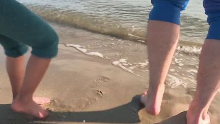 Vivre dans le sud peut réserver de merveilleuses journées ensoleillées les mois d'hiver. Certains ont décidé de passer leur week-end à la plage. (France 3)