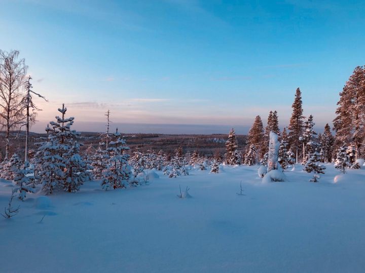 Des paysages enneigés du grand nord finlandais, au-delà du cercle polaire arctique, à une ou deux heures de route&nbsp;de Rovaniemi (Photo Corneloup)