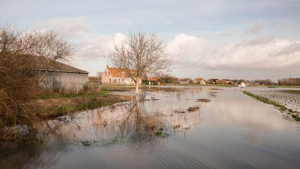 Une zone inondée à Saint-Omer (Pas-de-Calais), le 4 janvier 2024. (AMEER ALHALBI / ANADOLU  / AFP)