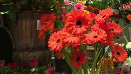 Fleurs : l'origine des bouquets sera indiquée en juin par les commerçants