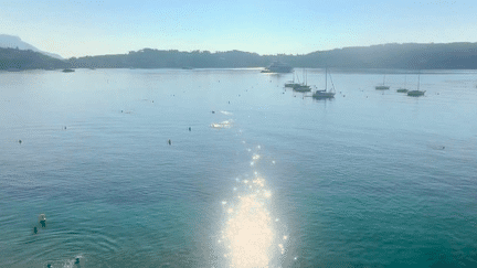 Canicule marine : les dangers d'une Méditerranée en surchauffe