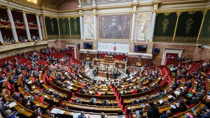 Les députés lors de la séance des questions au gouvernement à l'Assemblée nationale, le 11 février 2020, à Paris. (THIERRY THOREL / NURPHOTO / AFP)