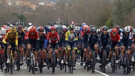 Les cyclistes lors de la première étape du Tour de Catalogne, le 21 mars 2022. (TONI ALBIR / EFE)