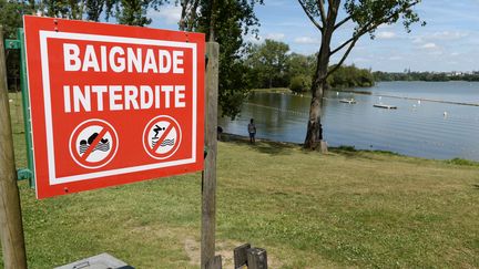 Au&nbsp;lac de Maine, à Angers (Maine-et-Loire), le 27 juin 2015. (JOSSELIN CLAIR / MAXPPP)