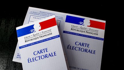 L'élection présidentielle démarre en outre-mer, samedi 22 avril 2017. (MAXPPP)