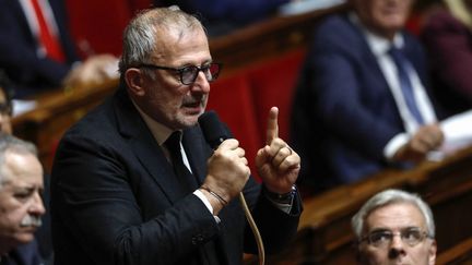 Le député MoDem François Pupponi, le 5 novembre 2019 à l'Assemblée nationale. (THOMAS SAMSON / AFP)