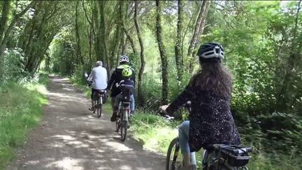 Transport : une ancienne ligne de chemin de fer transformée en promenade