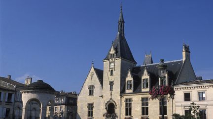 Les faits se sont d&eacute;roul&eacute;s le 8 mai 2012 devant la mairie de Libourne (Gironde). (DANILE SCHNEIDER / AFP)