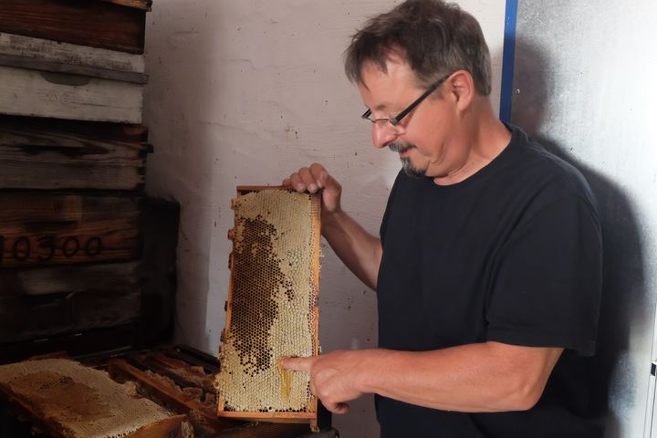 L'apiculteur Christian Th&egrave;ne, sur son exploitation, &agrave; Montlaur, pr&egrave;s de Carcassonne (Aude), samedi 11 juillet 2015.&nbsp; (MARIE-ADELAIDE SCIGACZ / FRANCETV INFO)