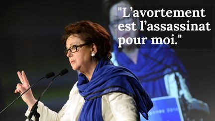 Christine Boutin (BERTRAND GUAY / AFP)