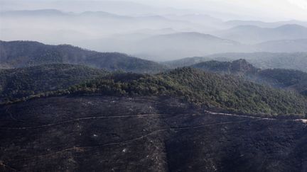 Le massif des Maures. (FRANK MULLER / MAXPPP)