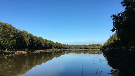 La Ferté-Vidame dans l'Eure-et-Loir. (PIERRE-YVES BONNOT)