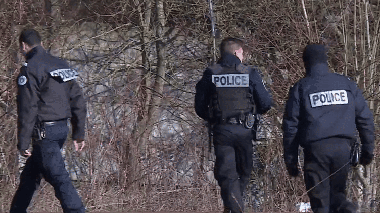 Nord : les policiers à la recherche d'une lionne en liberté