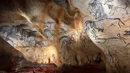 VIDÉO. Grotte Chauvet : il y a 30 ans, trente spéléologues amateurs découvraient la plus ancienne grotte ornée au monde