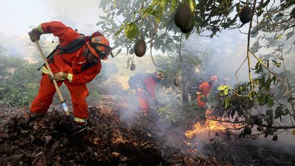 Les pompiers luttant contre les gigantesques incendies en Californie ont reçu le renfort de prisonniers volontaires, comme ici en 2014 (illustration).&nbsp; (SANDY HUFFAKER / REUTERS)