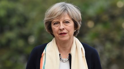 La Première ministre britannique Theresa May en Inde, le 7 novembre 2016.&nbsp; (MONEY SHARMA / AFP)