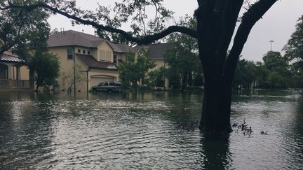 Le nombre de morts causés par&nbsp;la tempête Harvey&nbsp;aux Etats-Unis&nbsp;reste pour l'instant difficile à déterminer avec précision. (CITIZENSIDE/MADDIE DODSON/AFP)