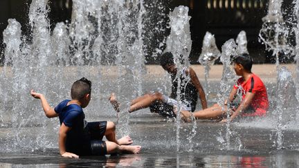 La région parisienne connaîtra, le 29 juin 2019, son jour le plus torride de la semaine "avec 36 à 38 °C degrés au maximum de la journée", prévoit Météo France. (PASCAL GUYOT / AFP)