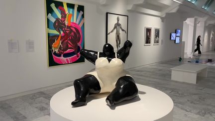 Les œuvres de Niki de Saint Phalle font partie de l'exposition permanente du musée d'art contemporain de Marseille. (France 3 Provence-Alpes : M. Frey / X. Schuffenecker / V. Bour / C. Delannoy)