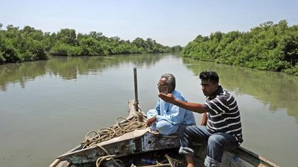 130.000 hectares de mangrove sont menacés au Pakistan. (AFP)