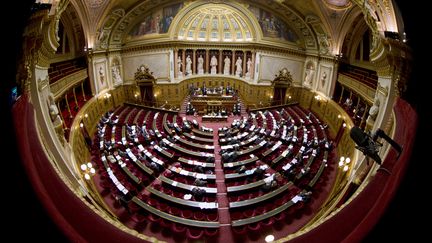 L'h&eacute;micycle du S&eacute;nat, le 13 novembre 2012, au palais du Luxembourg, &agrave; Paris. (JOEL SAGET / AFP)