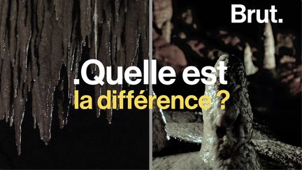 Issues de la rencontre entre l'eau et la roche, elles se forment toutes deux dans les grottes et cavités souterraines. Voici comment les différencier.