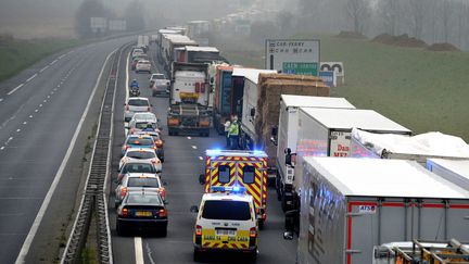 Une manifestation de chauffeurs routiers sur l'autoroute A84 &agrave; hauteur de Caen (Calvados), lundi 16 mars. (JEAN-YVES DESFOUX / MAXPPP)