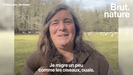 Depuis 15 ans, Thérèse est bergère sans terres. Elle ne possède aucun terrain. Pour nourrir son troupeau, elle parcourt les prairies et les forêts pour permettre à ses brebis de s'alimenter elles-mêmes.