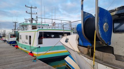 Quai Pourquoi Pas, port de pêche Lorient. (MARION FERRERE / FRANCEINFO)