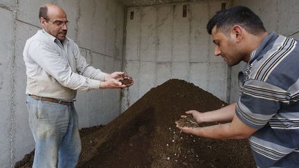 la famille Jebrini utilisait le fumier produit par leurs vaches comme engrais et fournissait les agriculteurs voisins. Mais la plupart du temps, ces déchets finissaient par pourrir au soleil.  (Hazem Bader/AFP)