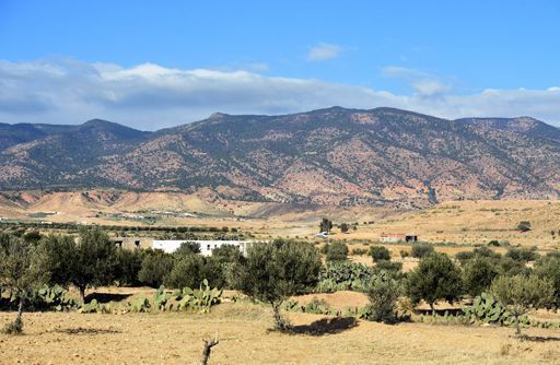 Dans la région montagneuse située entre Kasserine et Sidi Bouzid (centre-ouest). Photo prise le 15 décembre 2015. (AFP - Fethi Belaïd)