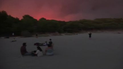 Incendies dans les Bouches-du-Rhône : les pompiers luttent pour maîtriser les flammes