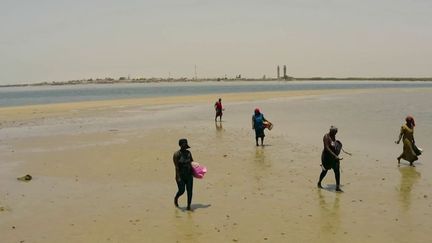 Sénégal : à la découverte de l'île-coquillage