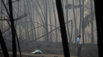 Un policier se tient près du corps d'une des victimes de l'incendie, à Pedrogao (Portugal), le 8 juin 2017. (PATRICIA DE MELO MOREIRA / AFP)