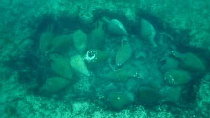 Les amphores datant du 3e siècle avant notre ère reposaient par 20 mètres de fond près des iles de Lérins.&nbsp; (Images sous-marines Marc Langleur / Capture d'écran)