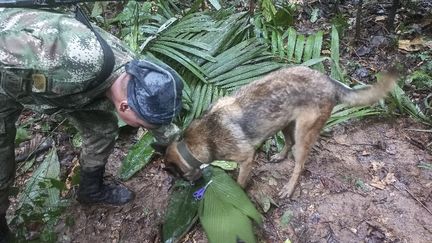 Un soldat inspecte une paire de ciseaux trouvée dans la forêt de la municipalité de Solano, en Colombie, alors que quatre enfants sont toujours recherchés après le crash de leur avion, le 17 mai 2023. (HANDOUT / COLOMBIAN ARMY / AFP)