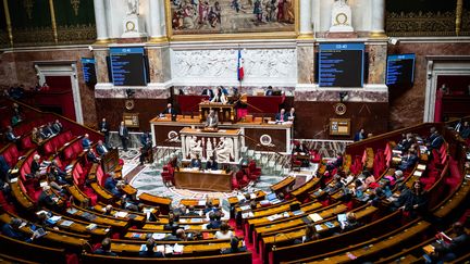 L'hémicycle de l'Assemblée nationale, le 24 novembre 2022. (XOSE BOUZAS / HANS LUCAS / AFP)