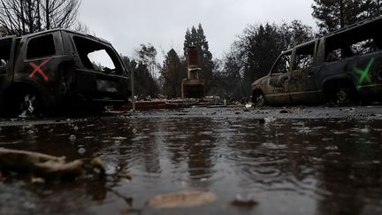 La pluie complique les recherches des personnes&nbsp;disparues après l'incendie "Camp Fire", à Paradise (Californie, Etats-Unis), le 22 novembre 2018. (JUSTIN SULLIVAN / GETTY IMAGES NORTH AMERICA / AFP)